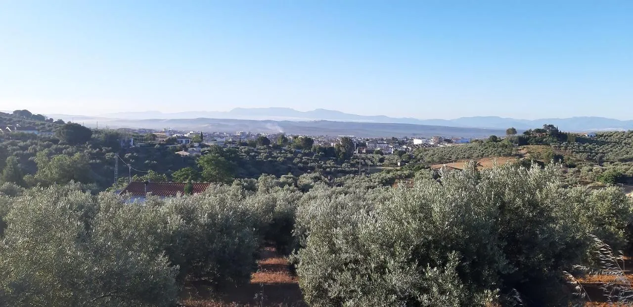 Guest house Piso La Buganvilla Bailen Spain